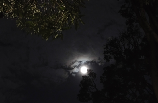 圖片.png 圖片.png