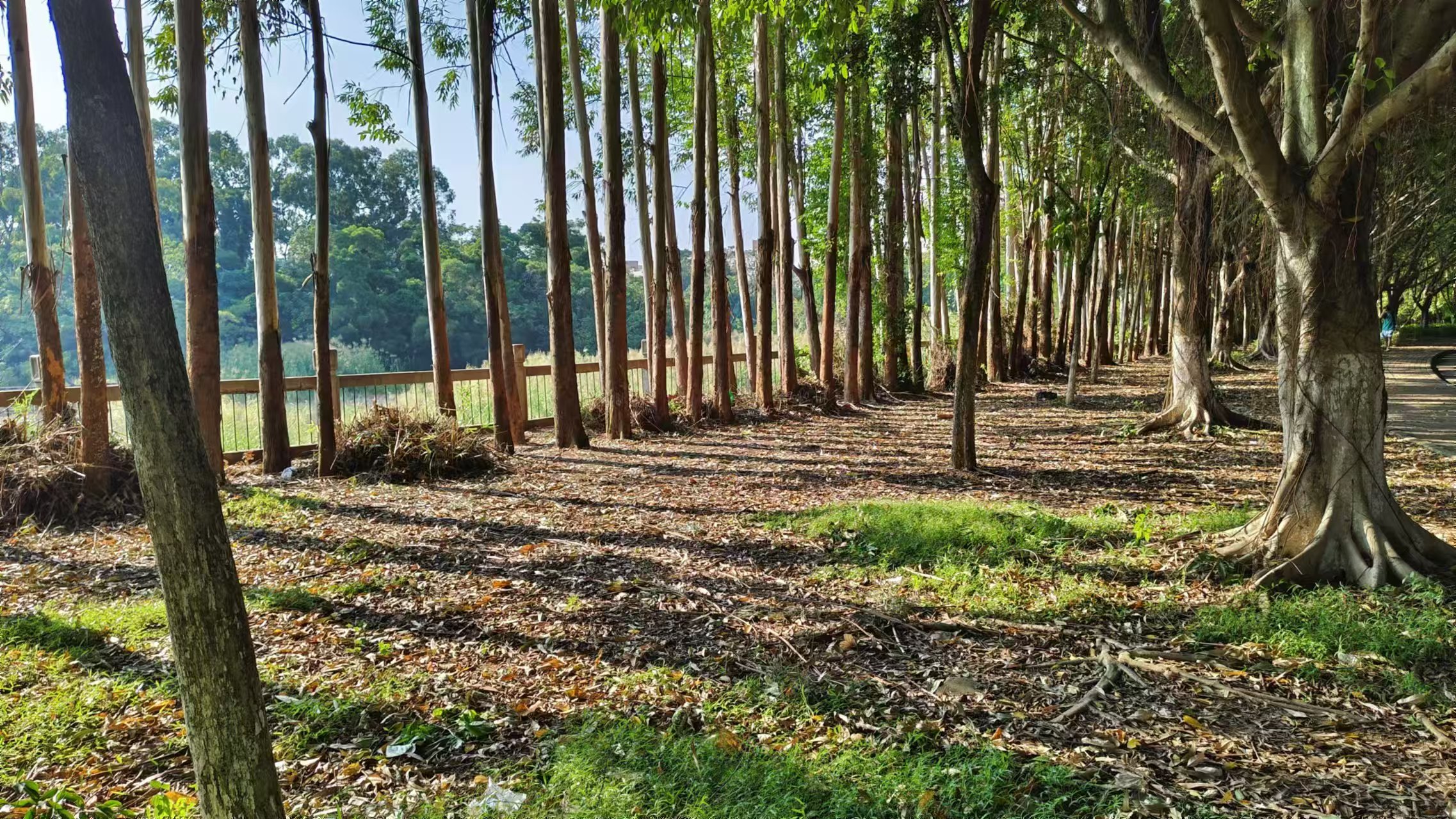 微信圖片_20241017081820.jpg 微信圖片_20241017081820.jpg