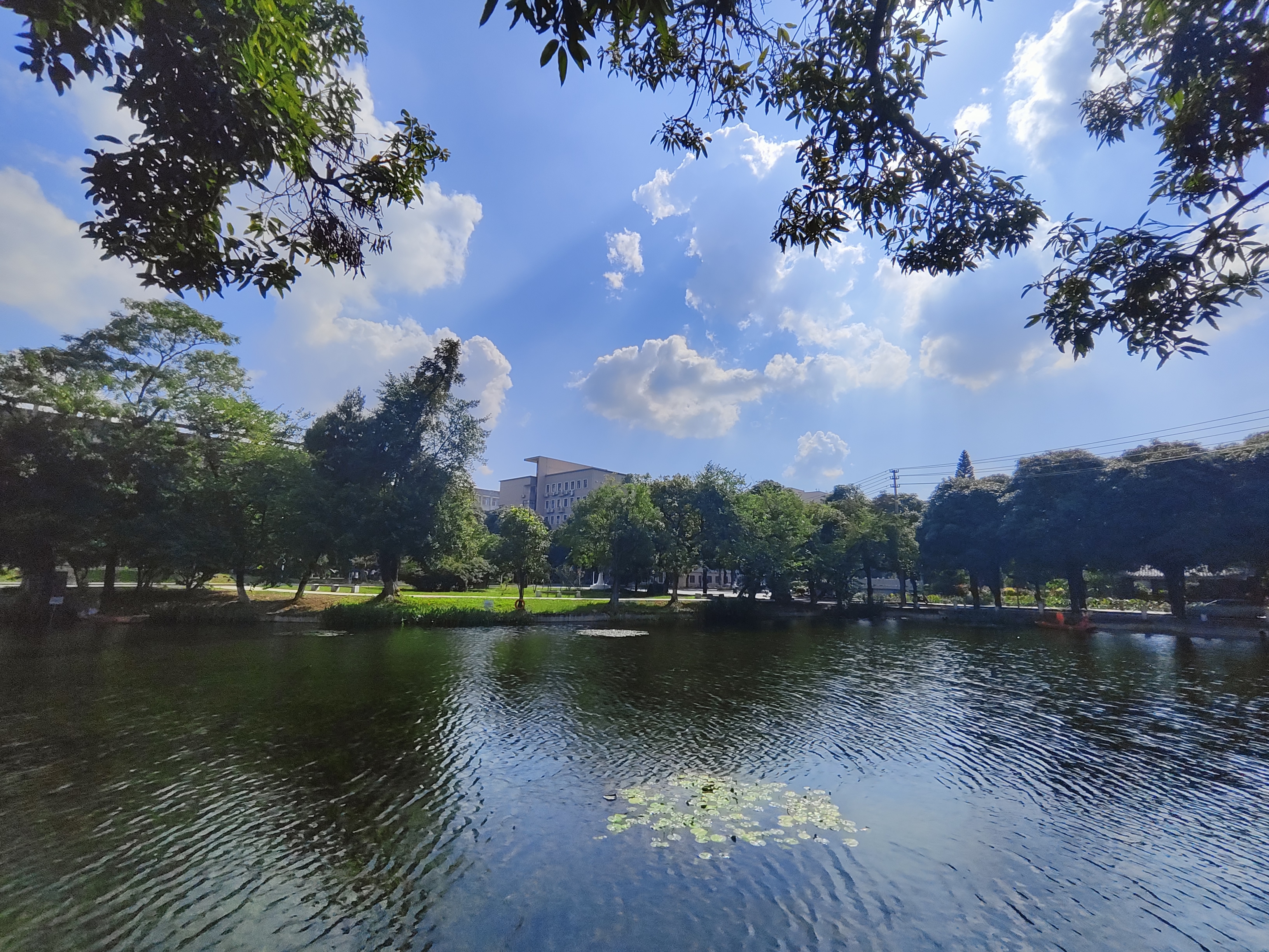 IMG_20241018_152937.jpg IMG_20241018_152937.jpg